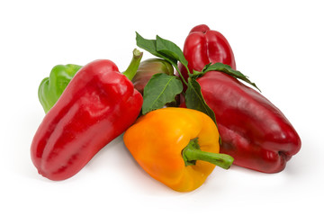 Red, yellow and green bell peppers and twig with leaves
