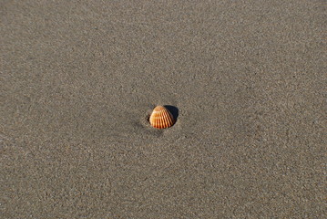 sand