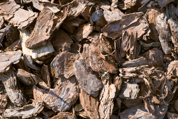 Chips of tree bark as a background