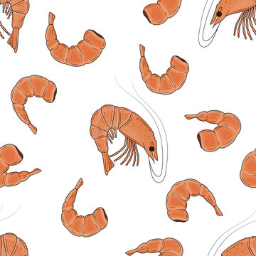 Seamless pattern made from shrimps. hand drawn. sea food. vector illustration. endless picture.