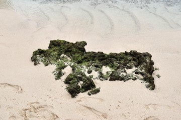 Beautiful shots of the white beaches on the Seychelles paradise island with footprints and water...