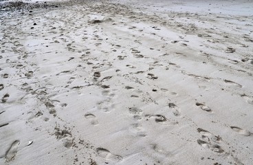 Beautiful shots of the white beaches on the Seychelles paradise island with footprints and water...