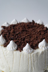 white cake with chocolate chip on top and meringue on top on a light background
