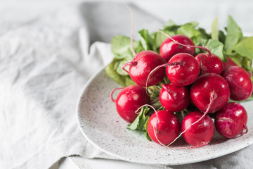 Summer harvested red radish.