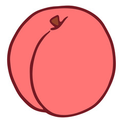 Isolated vector flat peach