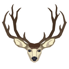 The head of a mule deer Wild animals Vector illustration Isolated object Geometric style