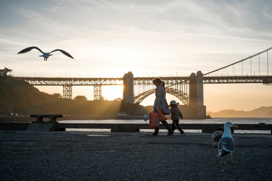 Birds of the Bay