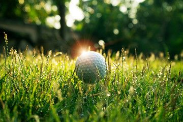 Golf ball on green grass in beautiful golf course at sunset background.