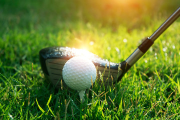 Golf ball on green grass in beautiful golf course at sunset background.