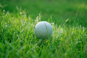 Golf ball on green grass in beautiful golf course at sunset background.