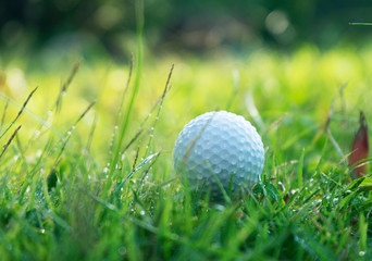Golf ball on green grass in beautiful golf course at sunset background.