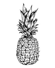 Hand drawn pineapple