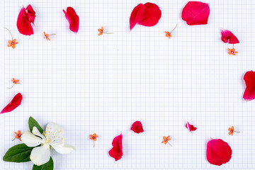 a concept of a greeting card with white squared paper background copy space for text and sprinkle rose petals