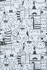Arrière plan noir et blanc chats mignons