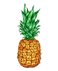 Sweet ripe pineapple