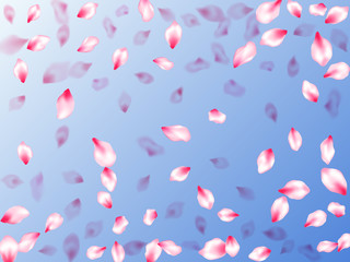 Japanese cherry blossom pink flying petals