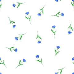 Seamless pattern of blue chicory wildflowers on white background. Watercolor pattern for printing on paper, textile, fabric.