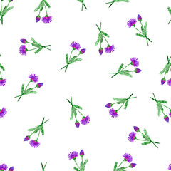 Seamless pattern of violet chicory wildflowers on white background. Watercolor pattern for printing on paper, textile, fabric.