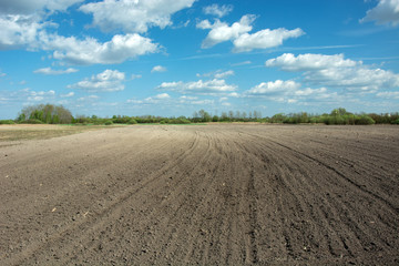 Plowed soil in a field, white clouds on blue sky