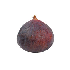 Close up one whole ripe fig isolated on white