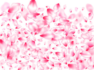 Spring blossom isolated petals flying