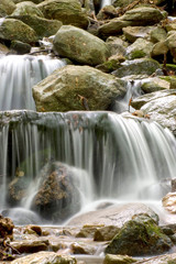 L'acqua scende rigogliosa nel torrente di montagna