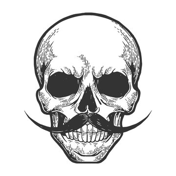 Human skull sketch engraving vector illustration. Scratch board style imitation. Hand drawn image.