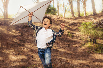 Boy enjoying flying a kite