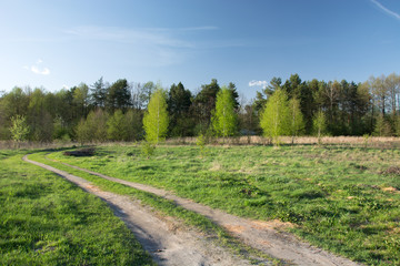 Rural road through a meadow in front of the forest and blue sky