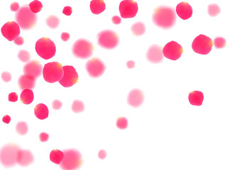 Pink rose petals falling vector valentine background.
