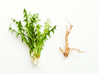 Dandelian leaves and roots