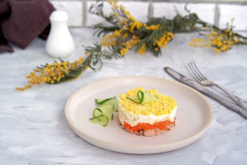 Traditional Russian salad Mimosa with boiled pink salmon, carrots, onions and eggs on a gray concrete background. Served on ceramic plates, decorated with sliced fresh cucumber