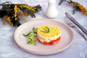 Traditional Russian salad Mimosa with boiled pink salmon, carrots, onions and eggs on a gray concrete background. Served on ceramic plates, decorated with sliced fresh cucumber