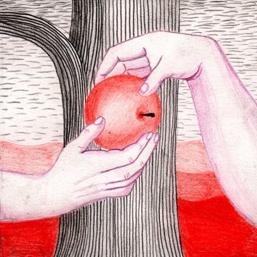 An apple is given from one hand to another