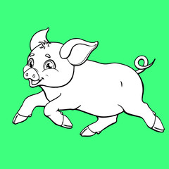 The running pig contour on green background