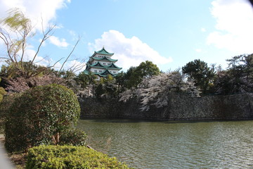 Nagoya Castle and the park where the cherry blossoms blooming