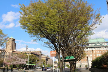 Nagoya city hall and Aichi prefectural office