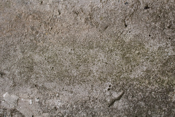 Grey Concrete Texture