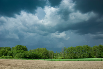 Dark stormy clouds in the sky, green trees and field