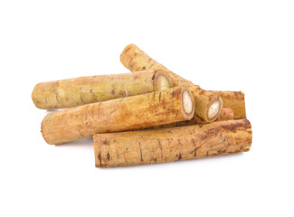 fresh burdock root or Gobo on white background