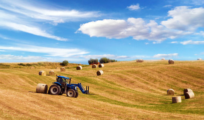 Obraz premium The tractor harvests in the field. Tuscany, Italy (crop, welfare - concept)