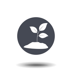 Seedling vector silhouette icon vector