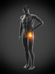 Fototapeta na wymiar 3d rendered medically accurate illustration of a man having a painful hip joint