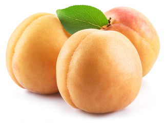 Ripe apricots isolated on the white background.