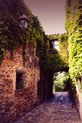 Narrow street, stone pavement full of ivy in Peratallada, Spain