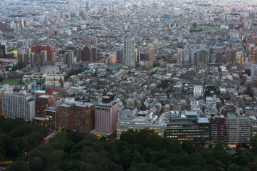 Aerial view of urban cityscape with residential and office buildings in Tokyo