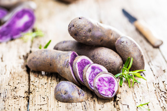 Vitolette noir or purple potato. On a white background.