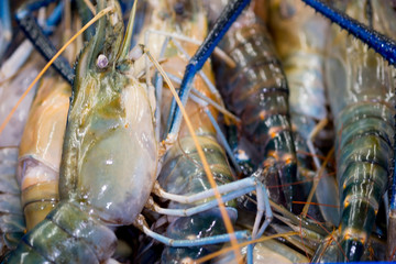 Fototapeta premium Raw prawns as a background in the market for sale at Thailand