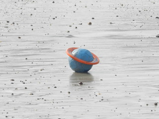 Ball and Ring ......Saturn on Earth