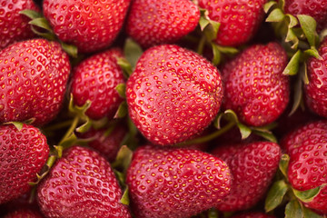 Close up of fresh natural strawberry fruit